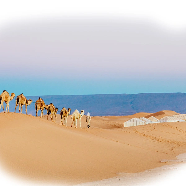visit errachidia-Merzouga desert